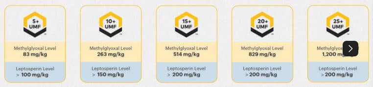 마누카꿀 UMF 등급과 MGO 기준