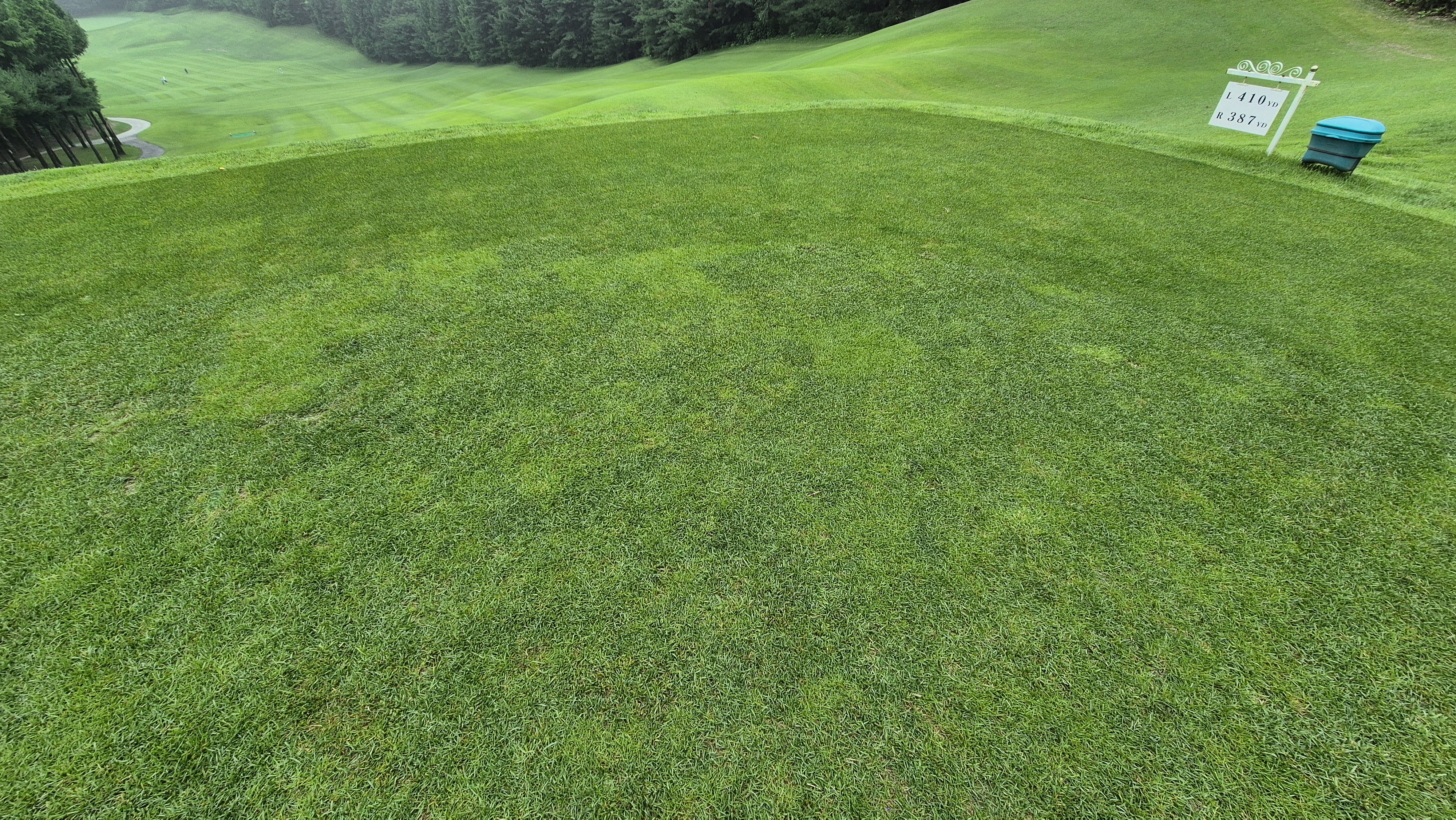 뉴스프링빌cc 라운드 후기