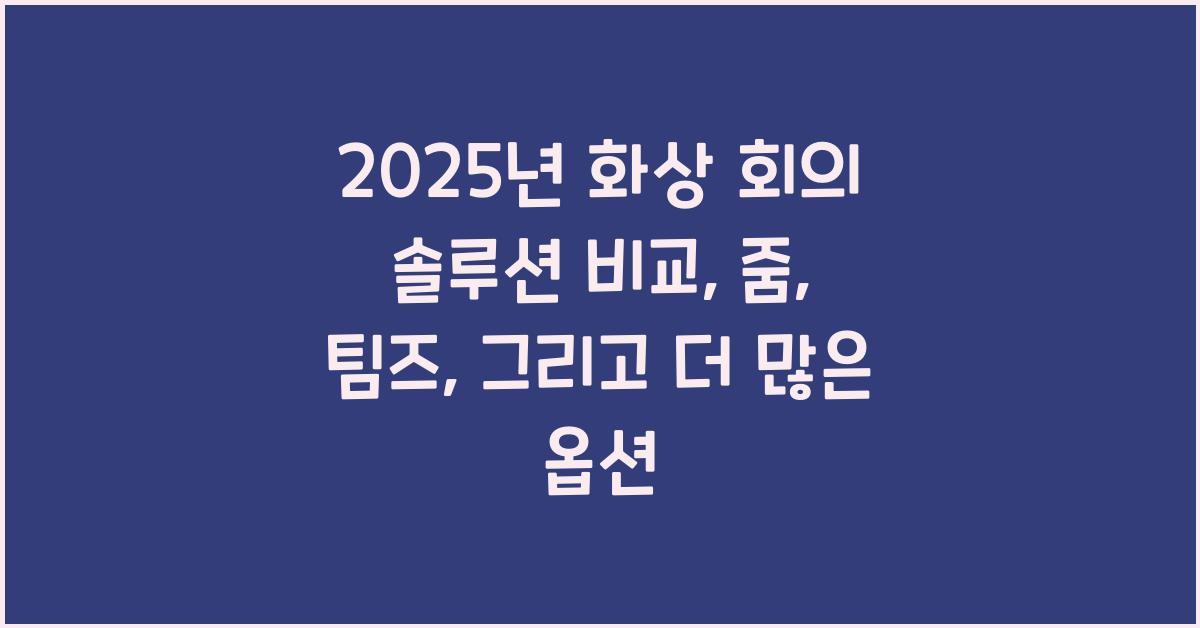 화상 회의 솔루션