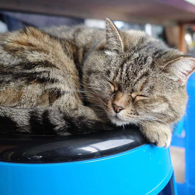 제주도-여행-코스