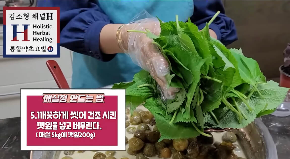 김소형 매실청 담그는 법