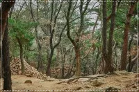 자연휴양림_예약성공팁3