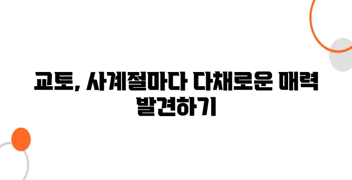 교토 사계절 여행｜매달 다른 매력! 교토를 365일 즐기는 방법