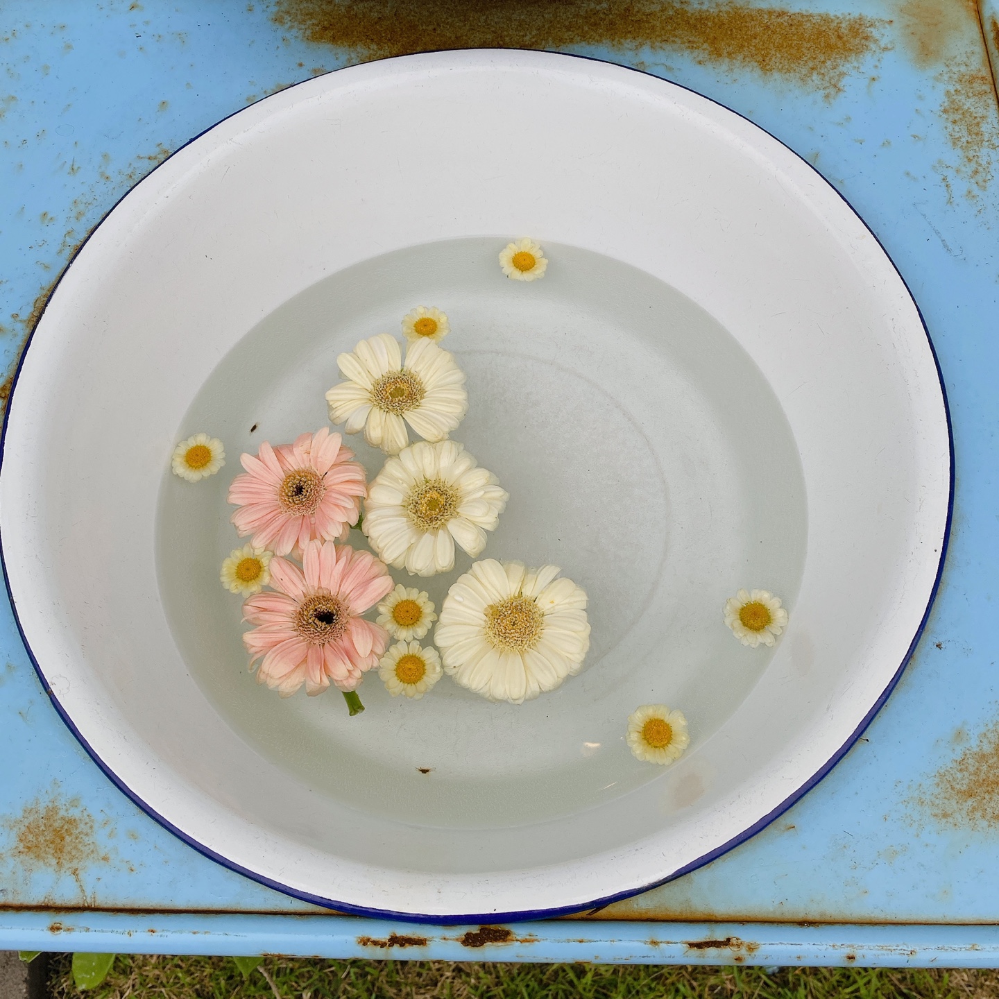 제주 서귀포 표선해수욕장 애견동반 예스키즈존 프렌치토스트 구옥 카페 멜빌 melvile