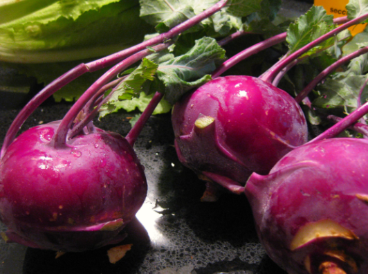 콜라비 효능 콜라비 칼로리 콜라비 요리