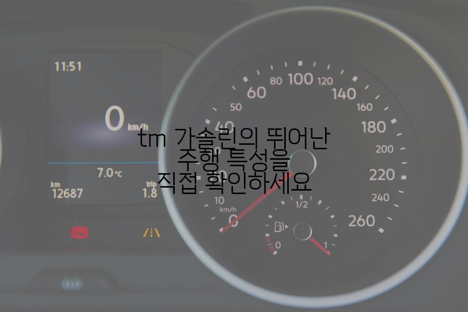 tm 가솔린의 뛰어난 주행 특성을 직접 확인하세요