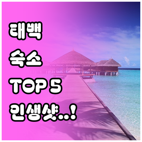 강원도 태백 숙소 추천 TOP 5 위..