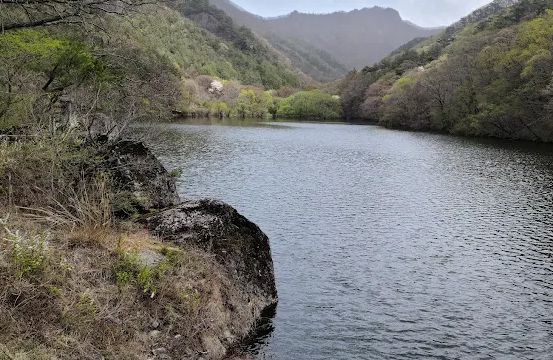 주산지