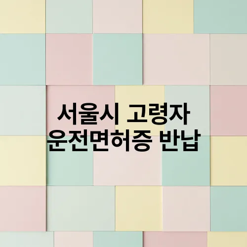 서울시 고령자 운전면허증 반납