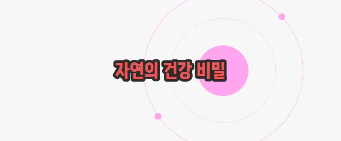 늙은호박 효능 한번 정확하게 알아보도록 하죠