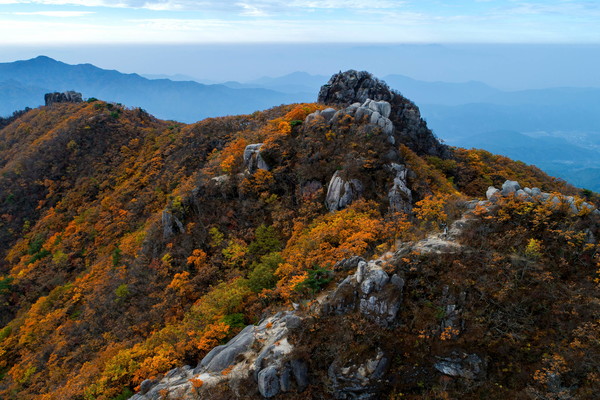 팔공산 등산코스