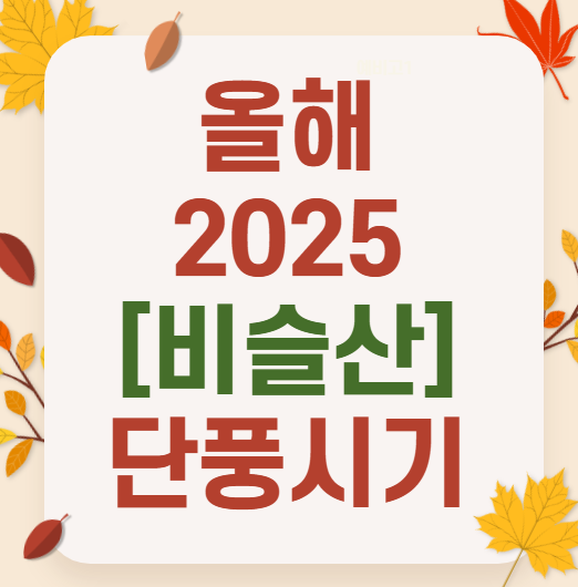 대구 비슬산 2025 단풍 절정 시기｜등산 코스 명소, 주차장 총정리