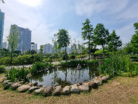 부산시민공원
