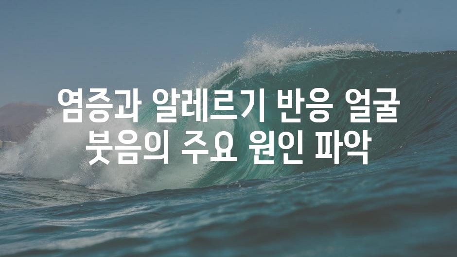 염증과 알레르기 반응 얼굴 붓음의 주요 원인 파악