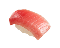 참치 중뱃살