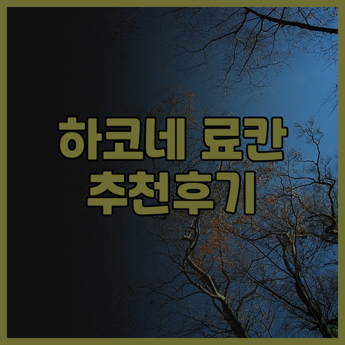 하코네 료칸 여행 후기 총정리 하코네