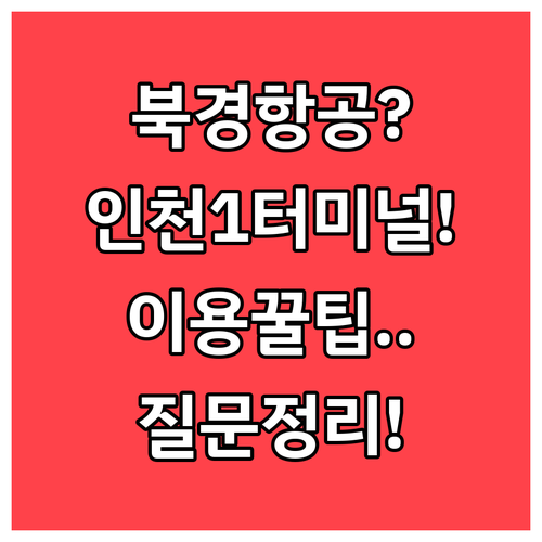 북경수도항공 인천 제1터미널 이용 시..
