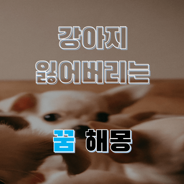 강아지 잃어버리는 꿈