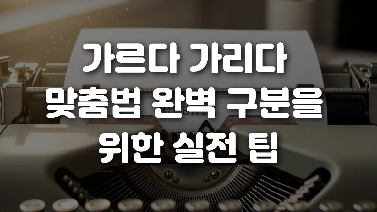 가르다 가리다 맞춤법 완벽 구분을 위한 실전 팁