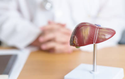 간수치가 높으면 나타나는 증상, 올라가는 이유, 간수치 정상범위 총정리 (2024ver)