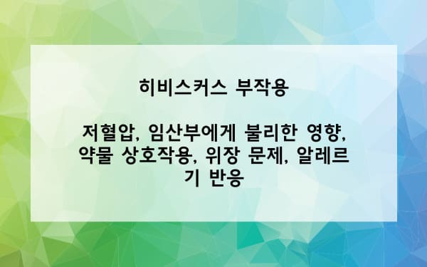 히비스커스 부작용은?