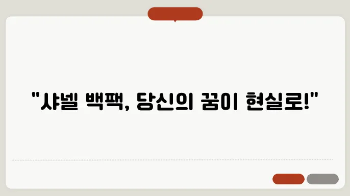 샤넬 백팩 가방 추천 종류 추직