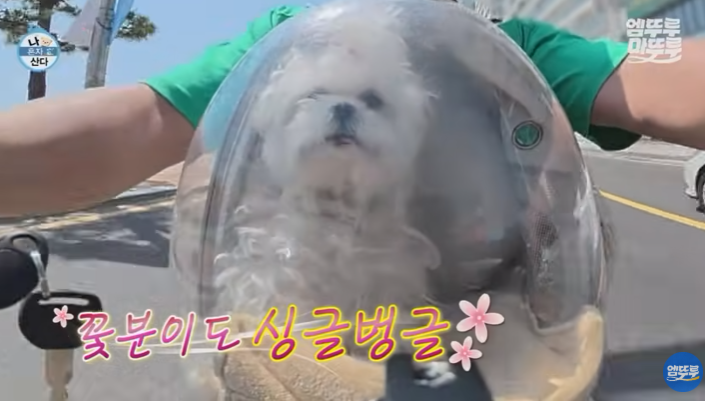 구성환