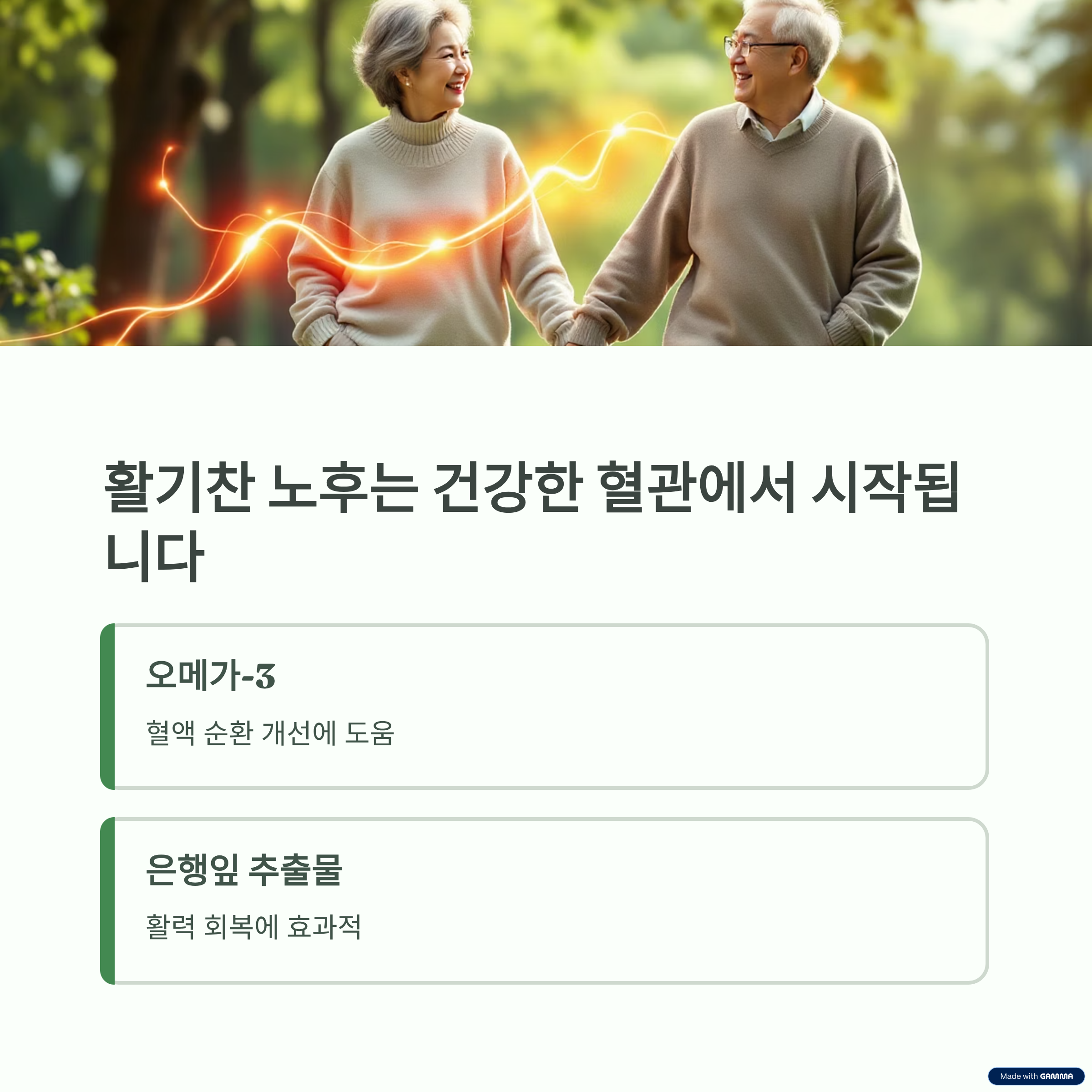 시니어 건강식품