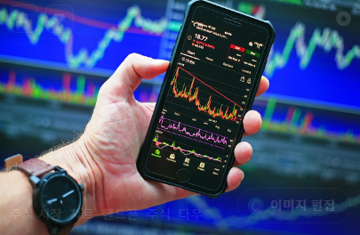 밈 주식과 짤경제