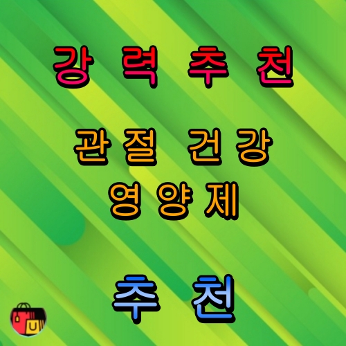 관절 건강 영양제