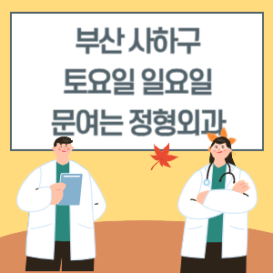 부산 사하구 토요일 일요일 정형외과 진료 병원 리스트