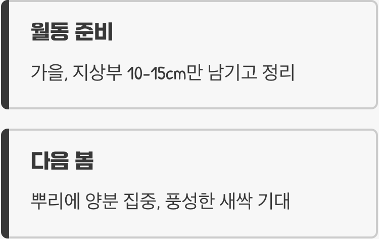 겨울을 이겨내고 다시 만나는 약속