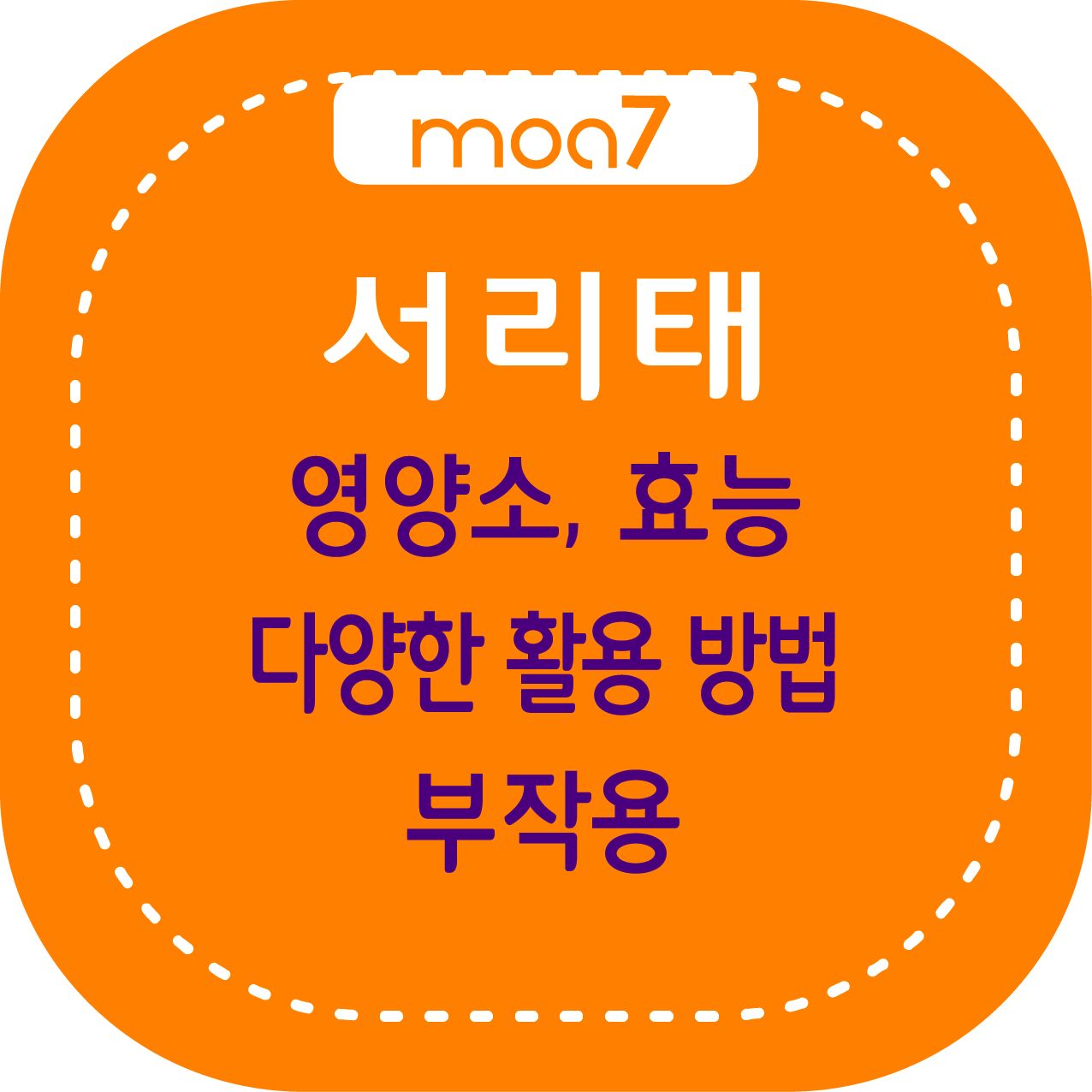 서리태 영양소, 효능, 다양한 활용 방법, 부작용