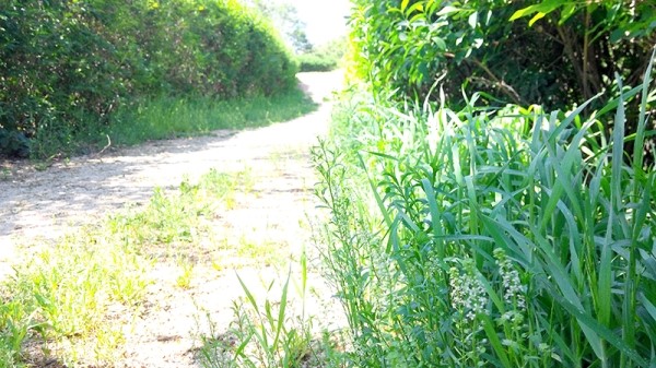 고은초 옆 고은산