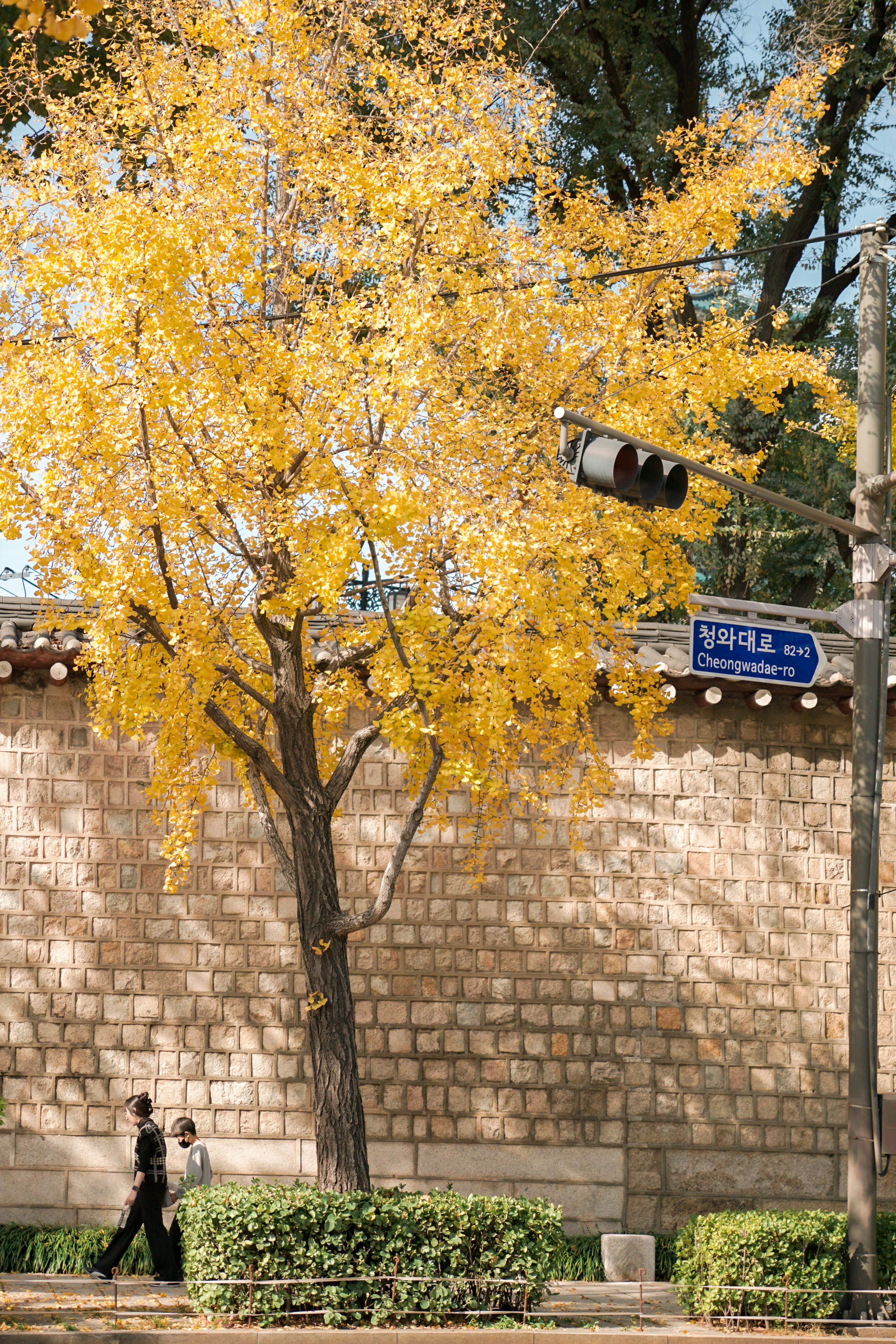 서울 가볼만한 곳