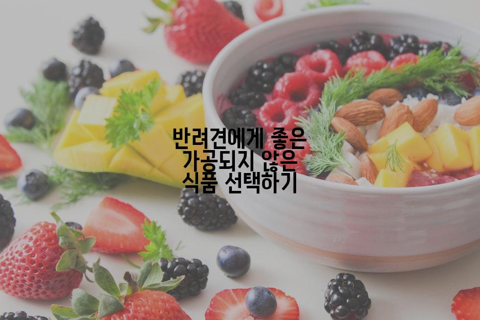 반려견에게 좋은 가공되지 않은 식품 선택하기