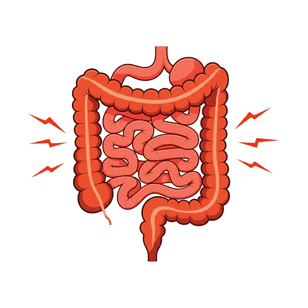 배 당기는 통증 장이 꼬인 것 같은 통증 배 복통 원인 배 복통 치료 장 폐색 증상 과민성 대장 증후군 통증 맹장염 초기 증상 소화불량 원인과 해결 여성 생리통 통증 복부 대동맥류 위험