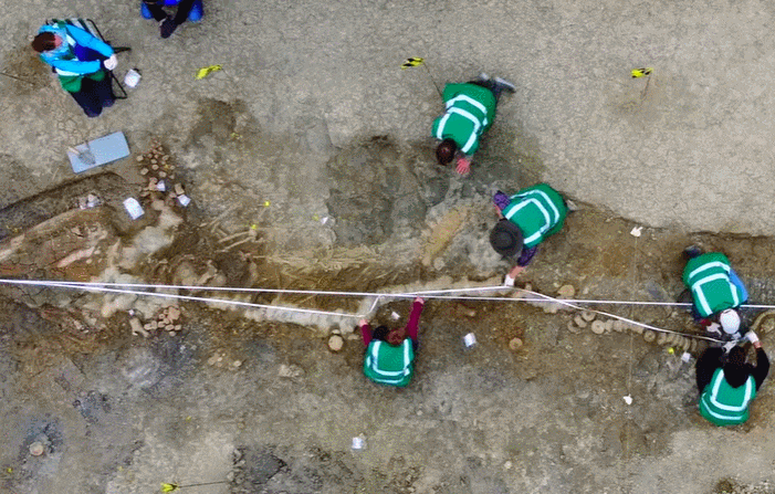 실제 해룡, 영국에서 발견 Prehistoric 33-Foot-Long &ldquo;Sea Dragon&rdquo; Fossil Found in UK Reservoir
