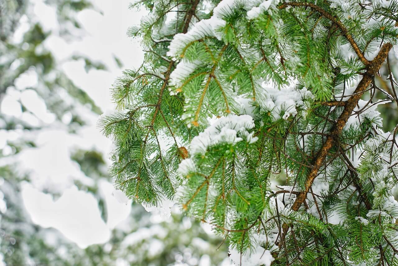 2025 추석 인사말 모음