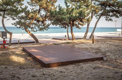 연곡 솔향기 캠핑장 예약