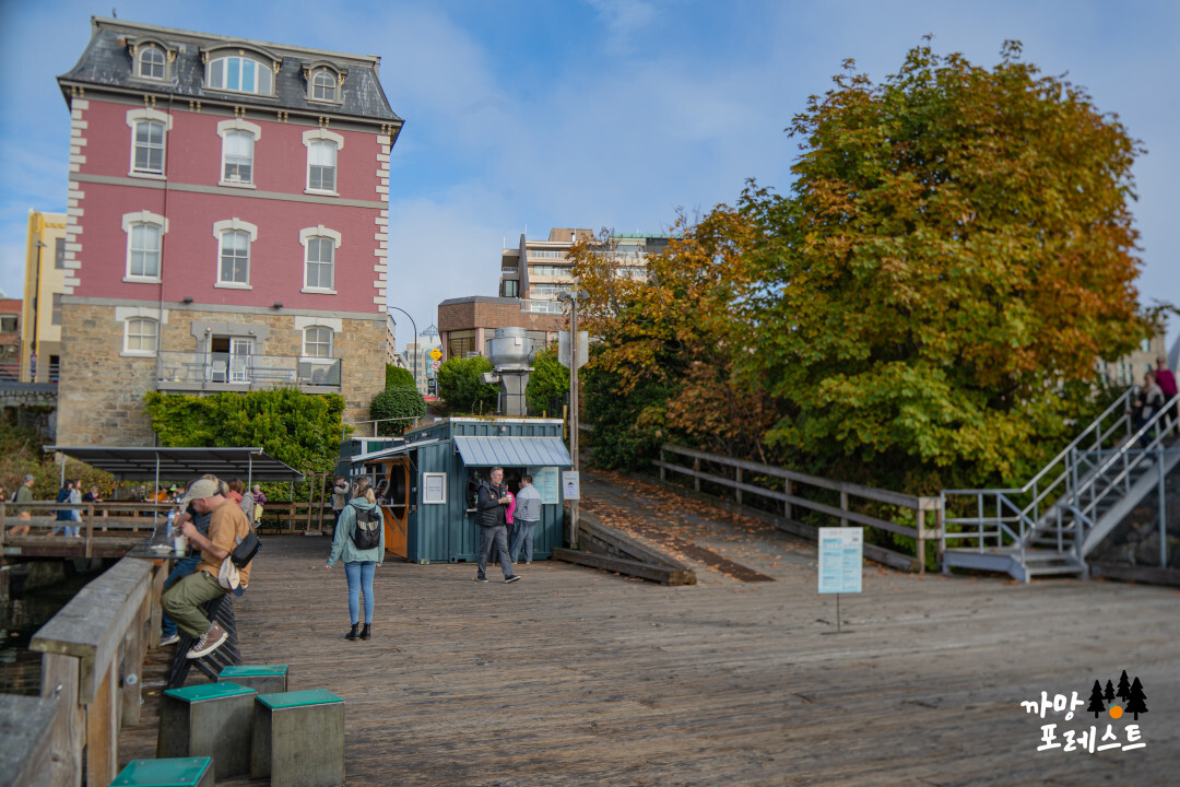 빅토리아 아일랜드 Red Fish Blue Fish