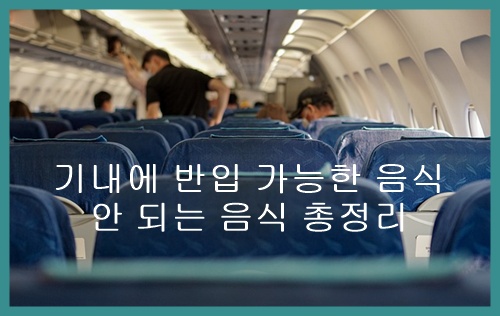 기내에 반입 가능한 음식, 안 되는 음식 총정리! 헷갈릴 땐 이것만 기억 썸네일