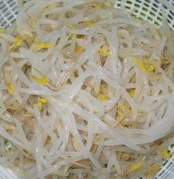 숙주나물의 효능 부작용 요리 고르는법