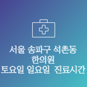 서울 송파구 석촌동 주말 토요일 일요일 문여는 병원 진료시간