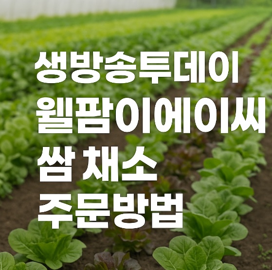 생방송투데이 환승직업 두 번째 인생 충주 쌈 채소 농장 웰팜이에이씨 쌈채소 스마트스토어 주문방법
