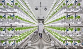 기후위기와 푸드테크