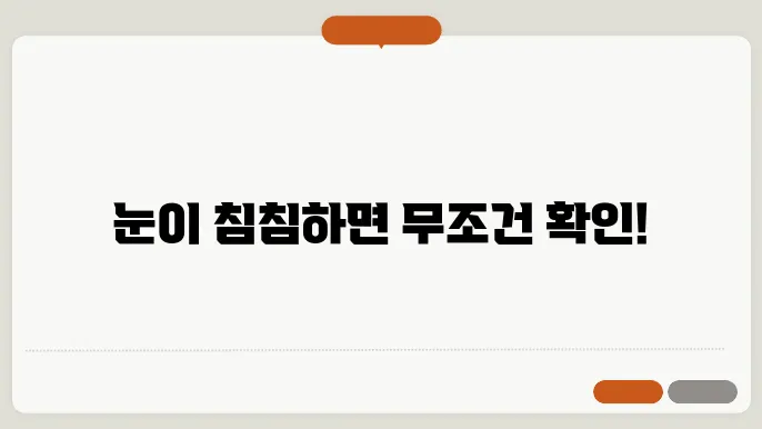 눈의 건강