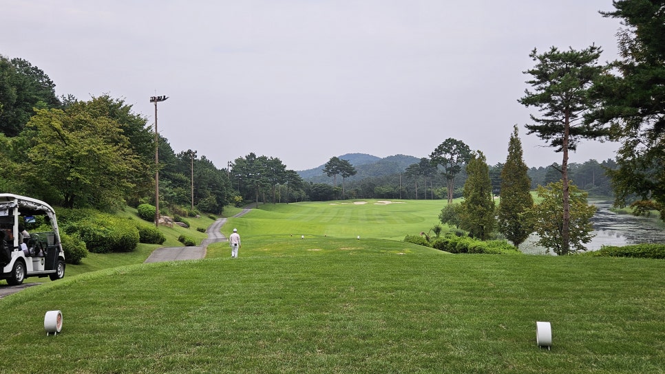 골프장 경험담 여주 세라지오CC 자연 속에서 즐기는 프리미엄 퍼블릭 골프장의 품격