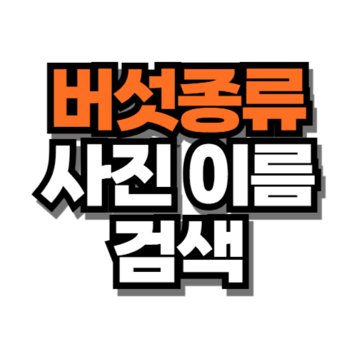 버섯종류 사진과 이름 검색