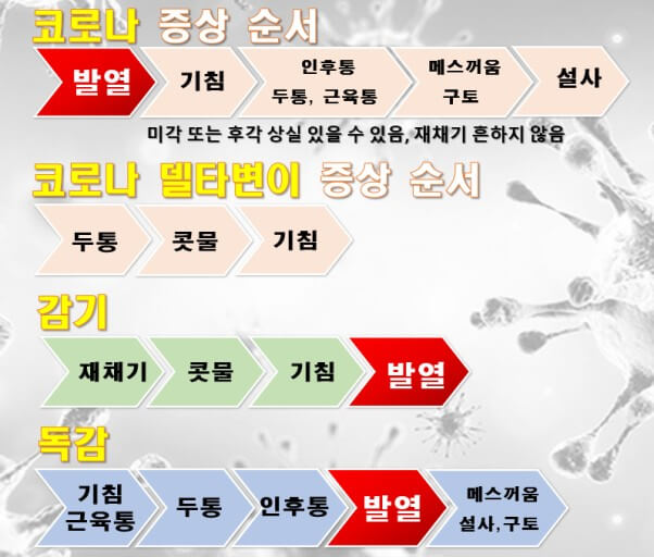 코로나&#44; 감기&#44; 독감의 차이